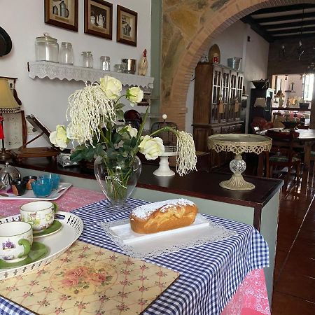 Loft Rural Apartment Tegueste Bagian luar foto