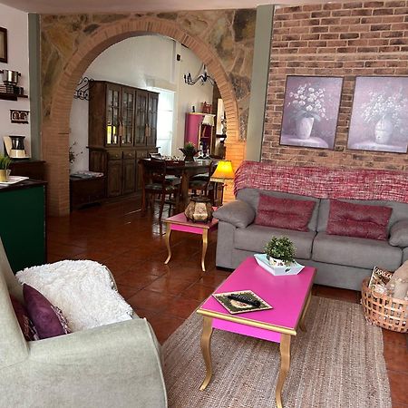 Loft Rural Apartment Tegueste Bagian luar foto