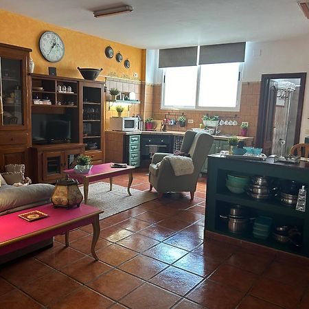 Loft Rural Apartment Tegueste Bagian luar foto