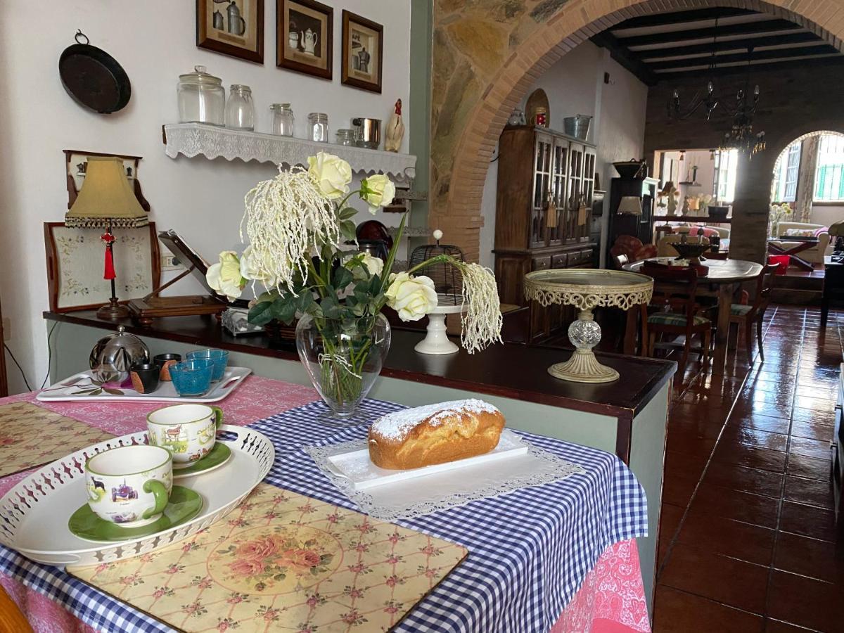 Loft Rural Apartment Tegueste Bagian luar foto