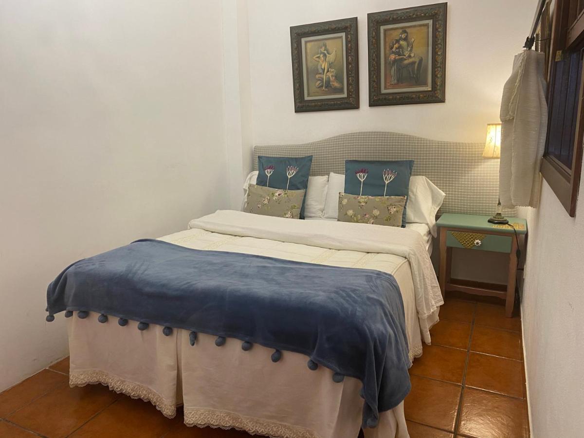 Loft Rural Apartment Tegueste Bagian luar foto