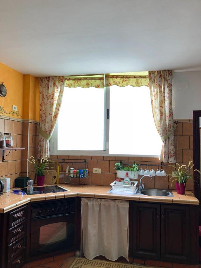 Loft Rural Apartment Tegueste Bagian luar foto