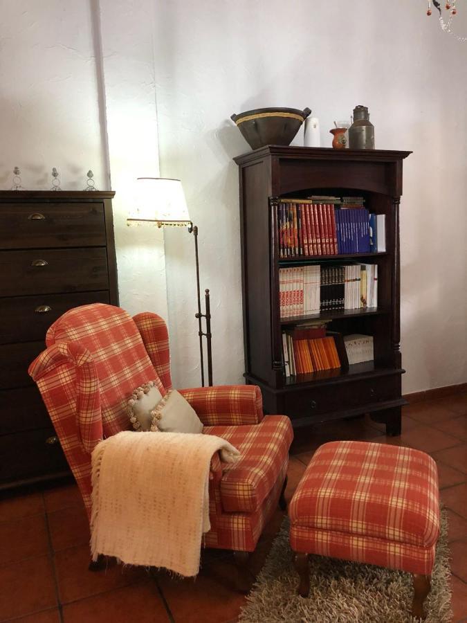 Loft Rural Apartment Tegueste Bagian luar foto